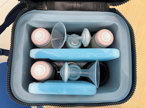 Yeti Hopper Flip 12 Bottle Organizer